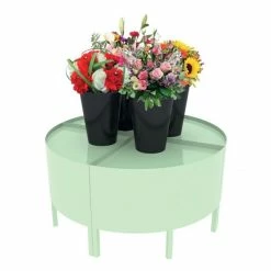 Meilleure affaire ⭐ Présentoir 1200 Mm - Podium Présentation Fleurs - 1 Niveau – Vert Anis ✔️